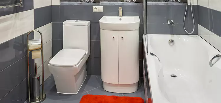 Hansgrohe Shaving Mirror Perth Amboy